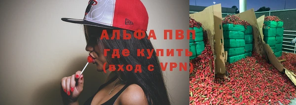 молекула духа Бронницы