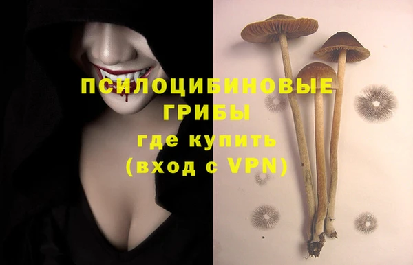 дмт Бугульма