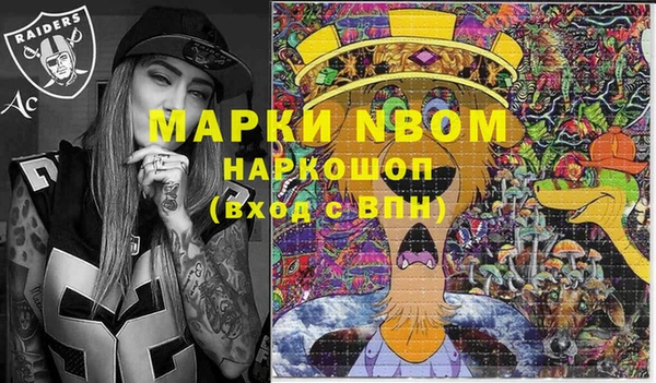 молекула духа Бронницы