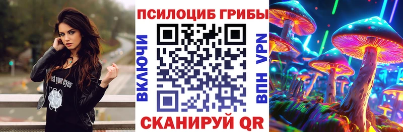 Псилоцибиновые грибы GOLDEN TEACHER  Томмот 