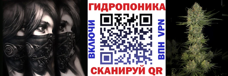 Конопля VHQ  где найти   Томмот 